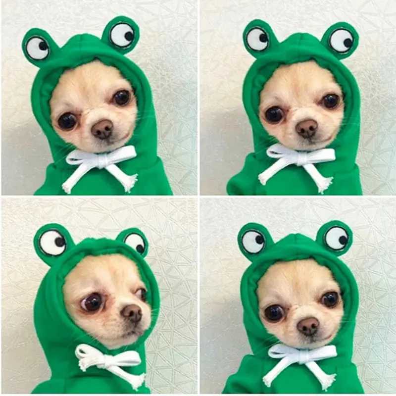 Autumn Frog Hoodies for Small Dogs and Cats: Soft and Cozy Fleece Pet Sweatshirts - Perfect for French Bulldogs, Chihuahuas, and More