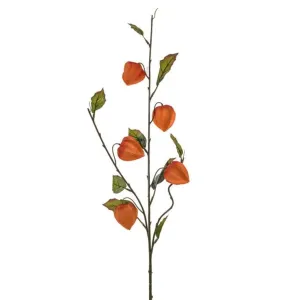 CB Imports Orange Artificial Chinese Lantern Stem