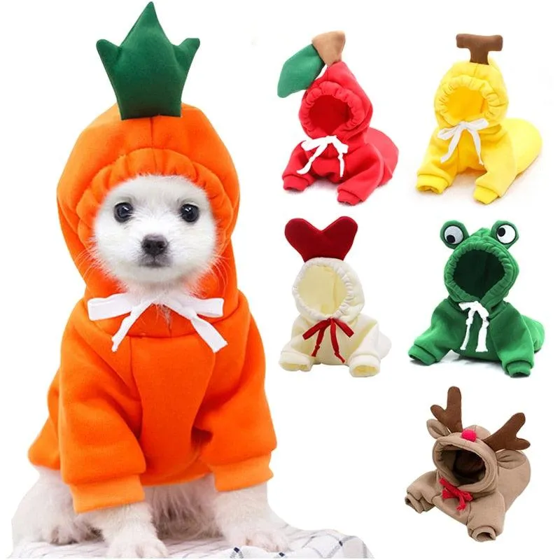 Chic Hooded Winter Jacket for Small Dogs - Fashionable Warmth for Tiny Tails