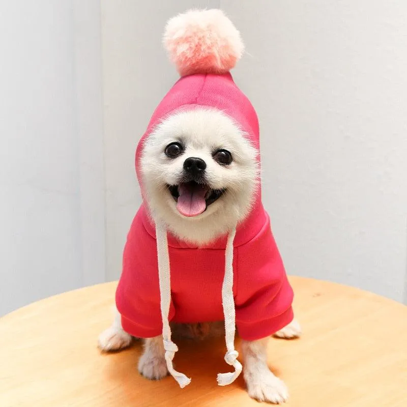 Chic Hooded Winter Jacket for Small Dogs - Fashionable Warmth for Tiny Tails