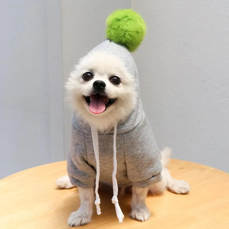 Chic Hooded Winter Jacket for Small Dogs - Fashionable Warmth for Tiny Tails