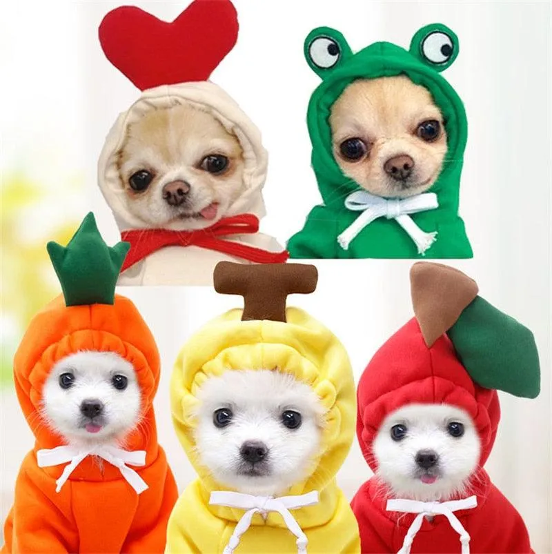 Chic Hooded Winter Jacket for Small Dogs - Fashionable Warmth for Tiny Tails