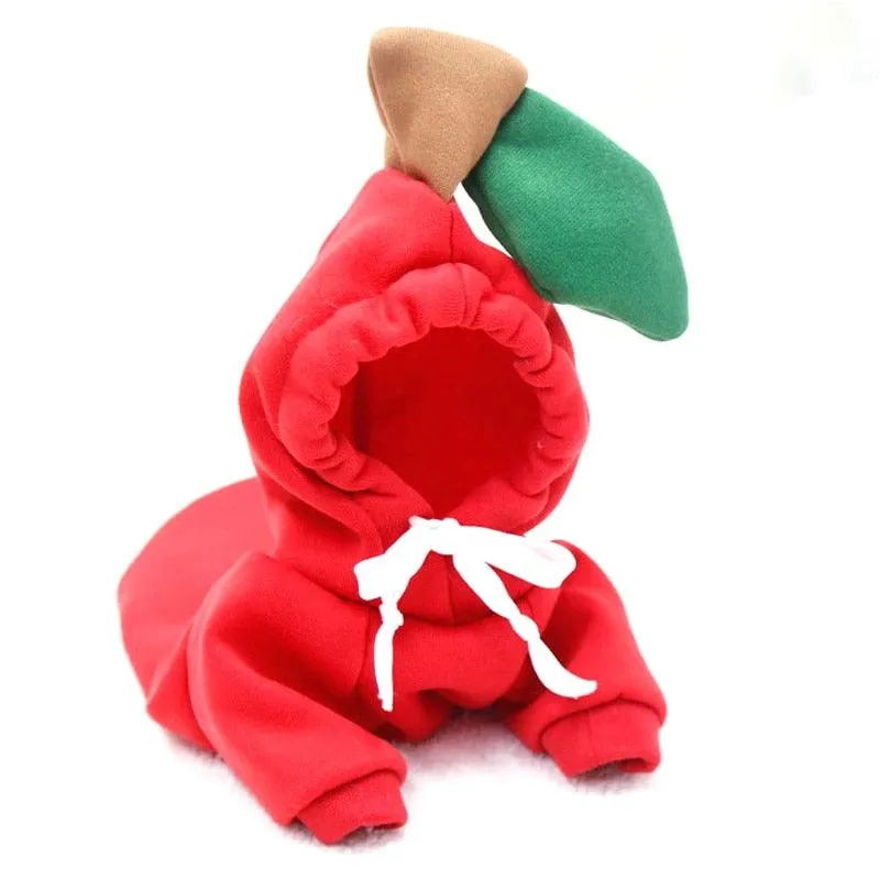 Chic Hooded Winter Jacket for Small Dogs - Fashionable Warmth for Tiny Tails