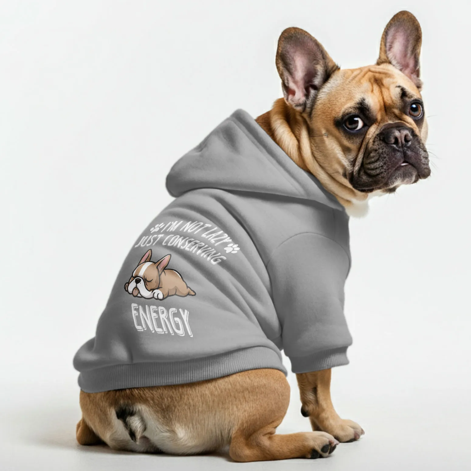 I’m not lazy, just conserving energy - Personalized French Bulldog Hoodies with Funny Quotes – Stylish, Cozy, and Premium 100% Cotton